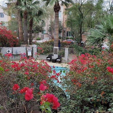 Desert Rose Villas - Private One Bedroom In Old Town סקוטסדייל מראה חיצוני תמונה